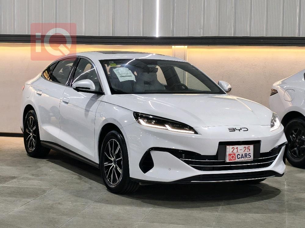 بي واي دي سيل 06 DM-i